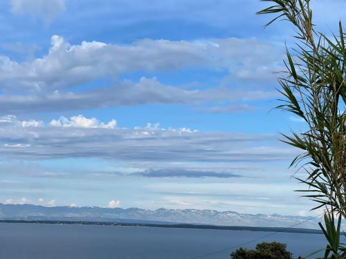 Apkārtne, Loza Blue, Premuda island in Premuda