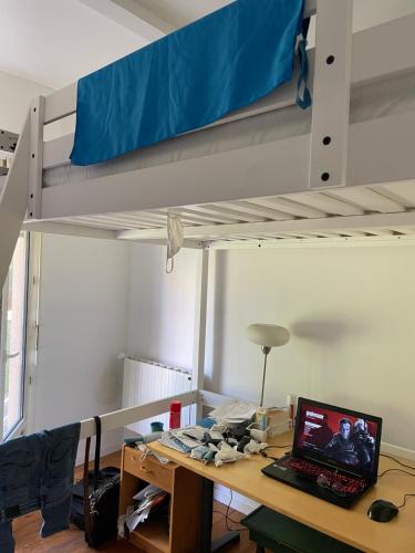 Chambre colocation Lit mezzanine