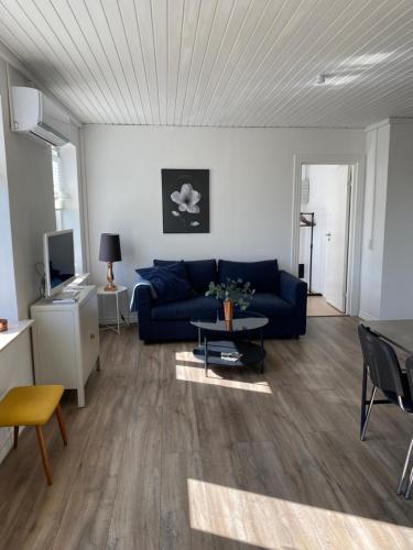 VV Apartments 50,1 in رينجستيد