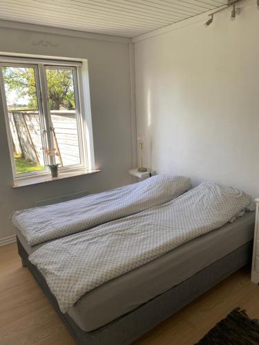 VV Apartments 50,1 in رينجستيد