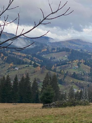 Лісова садиба, Iltsi (foto 10)