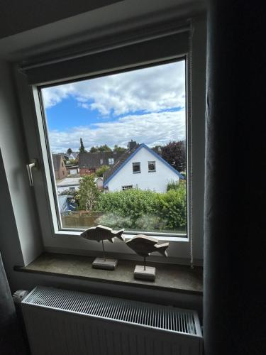 Ferienhaus Zingel in 埃肯弗德