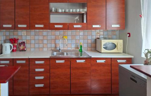 virtuve, Apartment Marcana Ya-1909 in Loborika