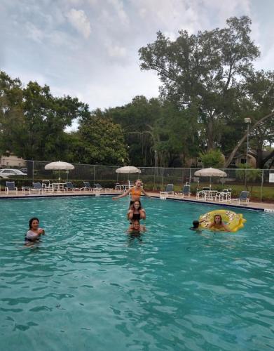 Cozy and Costal 10 Min to Beach Pool, Sauna, Pool table in Palm Harbor