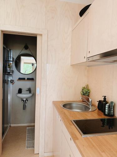 Instalaciones, Saldorfske domky in Znojmo
