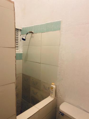 Tangerine Nest in Drapers