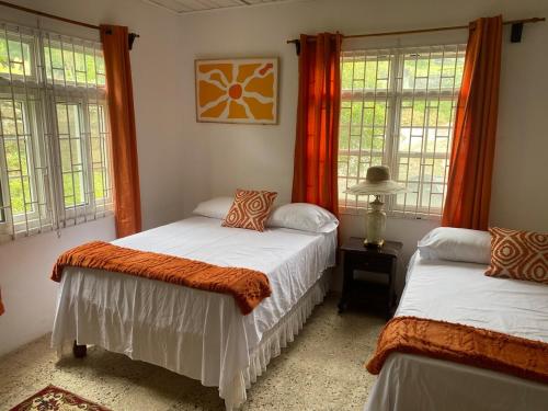 Tangerine Nest in Drapers