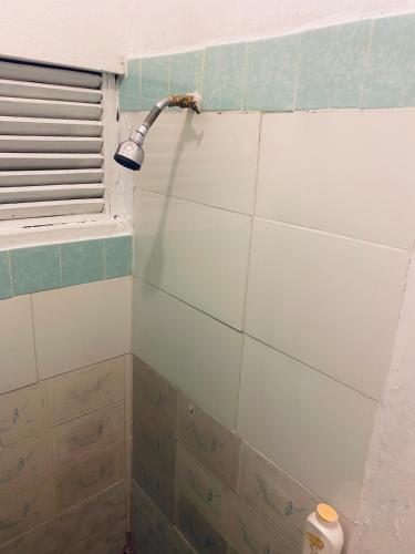 Tangerine Nest in Drapers