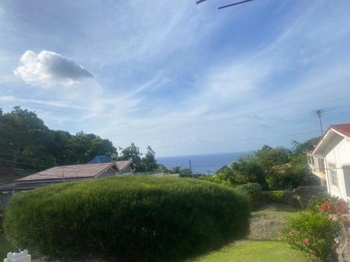 Tangerine Nest in Drapers