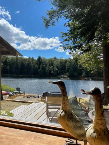 Algonquin Waterfront and Winter Paradise With Sunsets