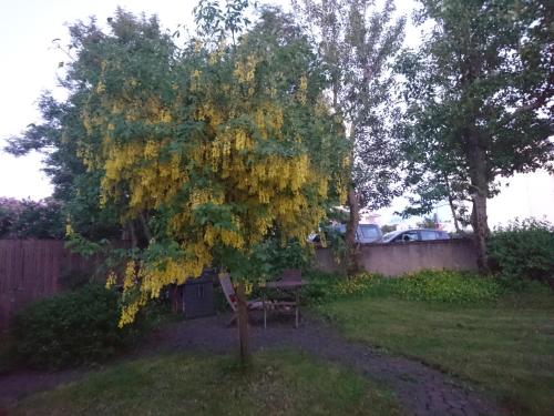 Alba Guesthouse - image 14