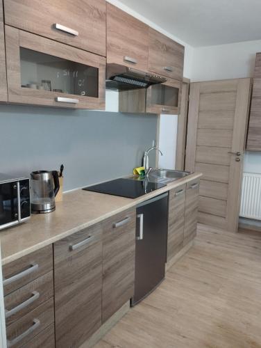 virtuve, Všemina apartmán s terasou (Vsemina apartman s terasou) in Všemina