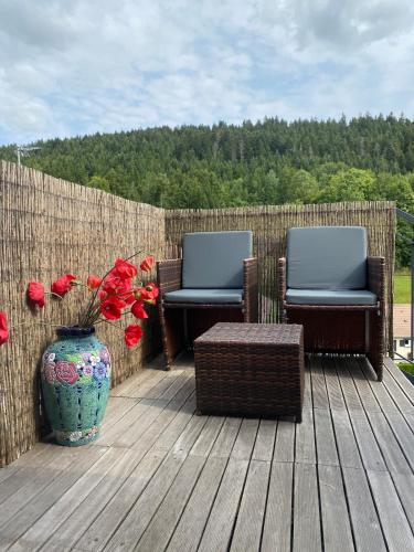 La Gentiane bleue, vue lac Saint Point in Malbuisson