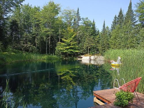 Seadmed, Private Hummingbird Room - Modern & Cozy in Mansonville (QC)