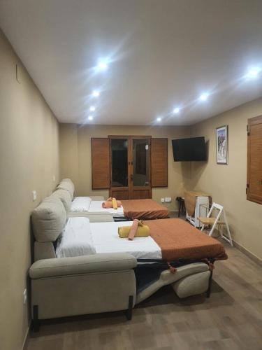 APARTAMENTO Mirador de la SULTANA, Granada (fotografie 2)