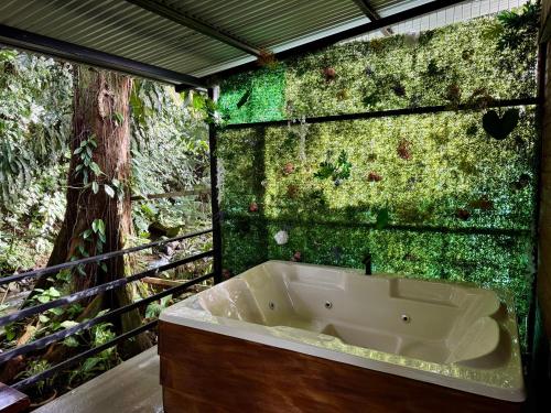 The frog house, Fortuna (Foto 10)