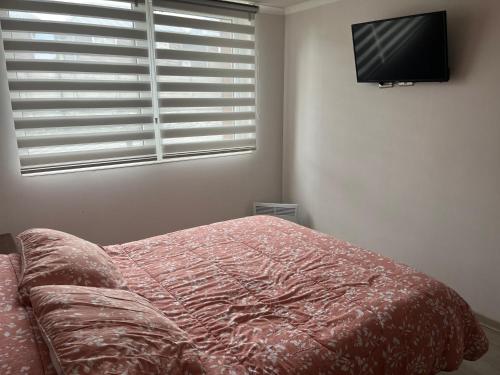 Departamento Pucon - image 4