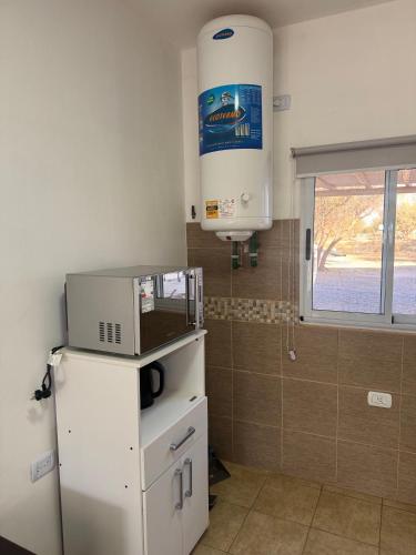 Atrapasueños fiambala (Atrapasuenos fiambala) in Fiambala