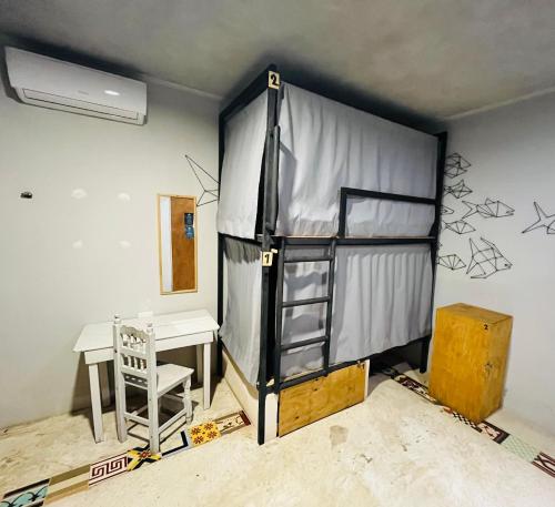 Maui Hostels Tulum Room Type - Bed in 6-Bed Mixed Dormitory Room