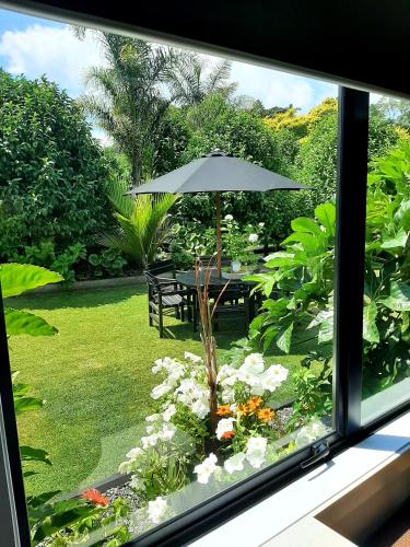Tree View Studio in Te Puna