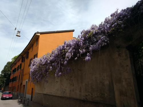 Malgrado House Bologna - Villa Nigrisoli - Sant'Orsola, Bologna (Foto 10)