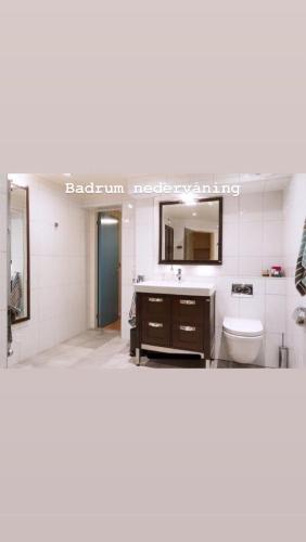 Fjallstuga i Salen in Salen