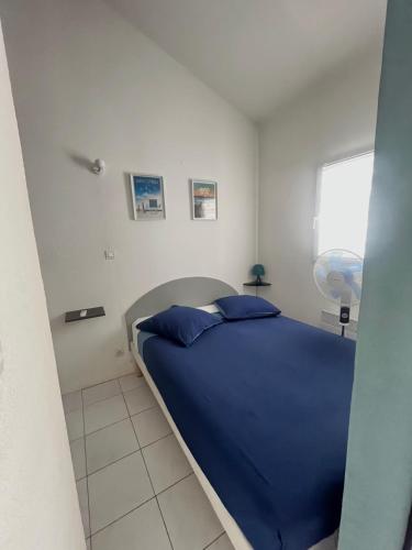 Villa, Piscine-pool 100m Plage-beach, Saint-Cyprien-Plage (Foto 4)