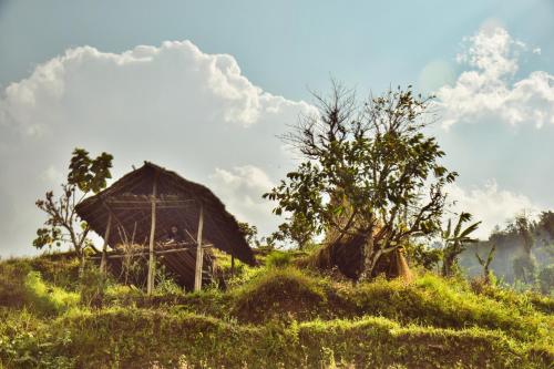 Apkārtne, Daarapari in Kaluka