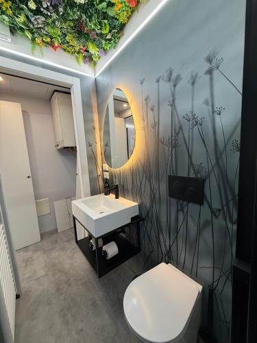 City Star in โรวีโก