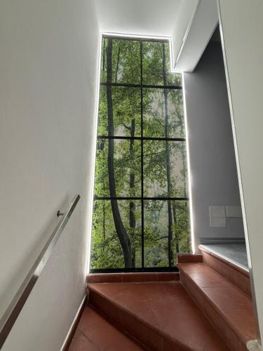 City Star in โรวีโก