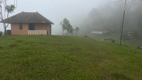 sora, Pīrmed (photo 10)