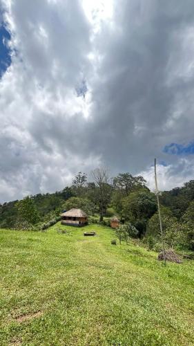 sora, Pīrmed (photo 4)