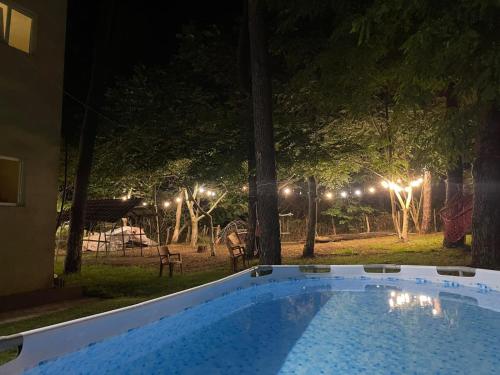 Shekvetili Star in Shekvetili