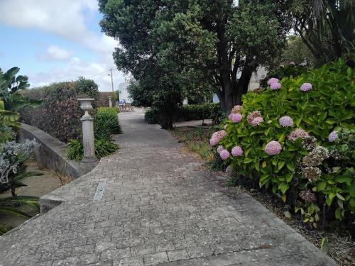 Nice Quinta in the florest of sintra, Colares (foto 7)