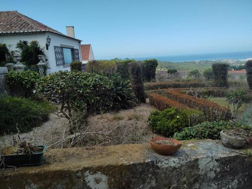 Nice Quinta in the florest of sintra, Colares (foto 9)