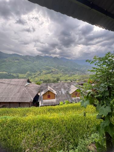 MaMa Sa homestay trekking Sapa in Lao Chải Tả Ván