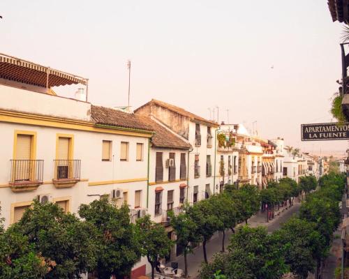 Apartamentos San Fernando 62, Córdoba (foto 6)