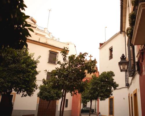 Apartamentos San Fernando 62, Córdoba (foto 5)