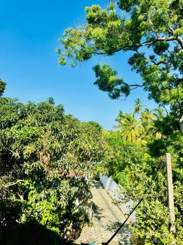 Tharu Holiday Home - image 2