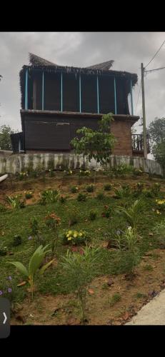 Camping ground at Maju farm house in Hulu Langat