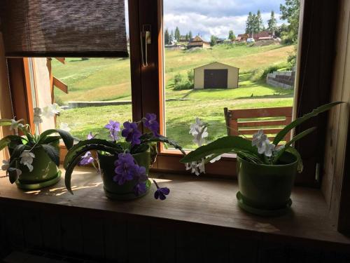 Willa Huragan – Bukowina Tatrzanska, WI