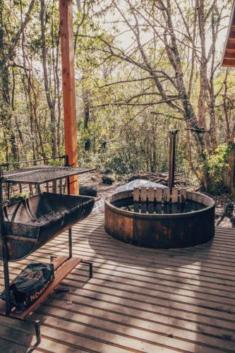 Omgeving, Aldea Molco Cabaña PEWEN (Aldea Molco Cabana PEWEN) in Villarrica