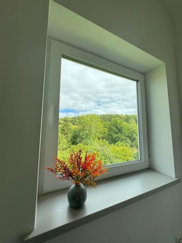 View, Waldzauber - Moderne Ferienwohnung im Grunen in Mucke