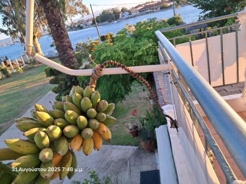 Top floor on villa, 3' from center, by the sea! Host is Efi Kwsta, Preveza (fotografie 8)