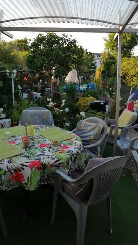 Vrt, Maison d'hôte avec jardin (Maison d'hote avec jardin) in Oasis Maroc
