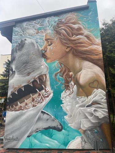 Shark, Lipawa