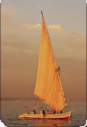 Elbess For Tourism, Jazīrat al ‘Awwāmīyah