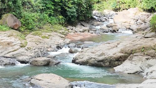 River Lodge - a Luxurious Hideway in the Jungle, Uvita (fotografie 8)