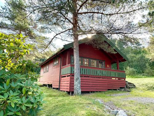 Sjøholt Camping Room Type - Two-Bedroom Cottage