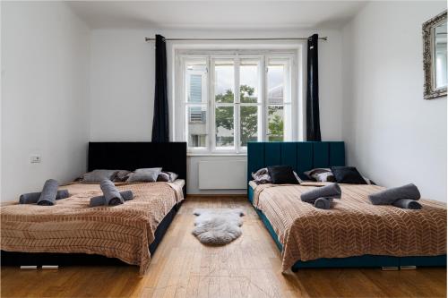 Big Victory Suite, Praha (fotografie 10)